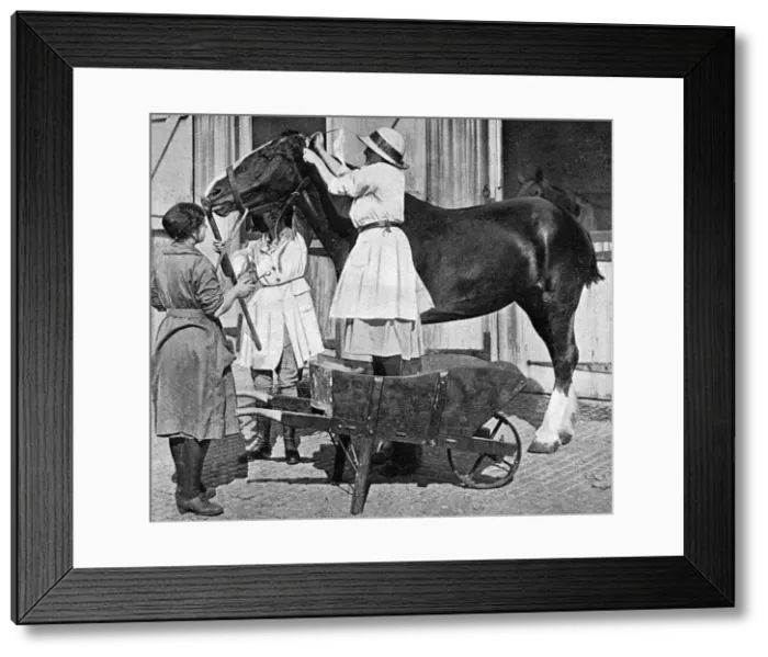 Framed Print : Female vet at horse repository, WWI Framed Print : Female vet at horse repository, WWI