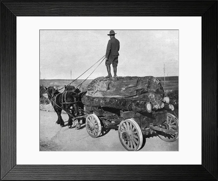 Framed Print : American lumberman on road near Western Front Framed Print : American lumberman on road near Western Front