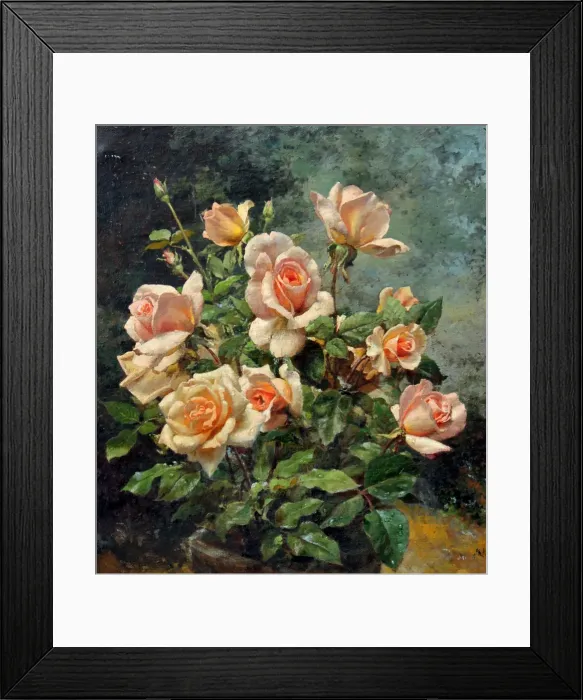 Framed Print : Still life of pink roses by Fortunino Matania Framed Print : Still life of pink roses by Fortunino Matania