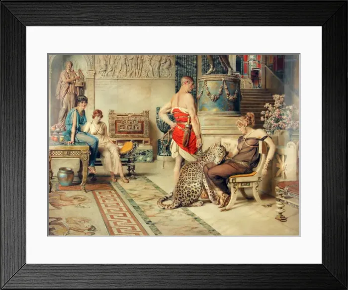 Framed Print : (insert) Framed Print : (insert)