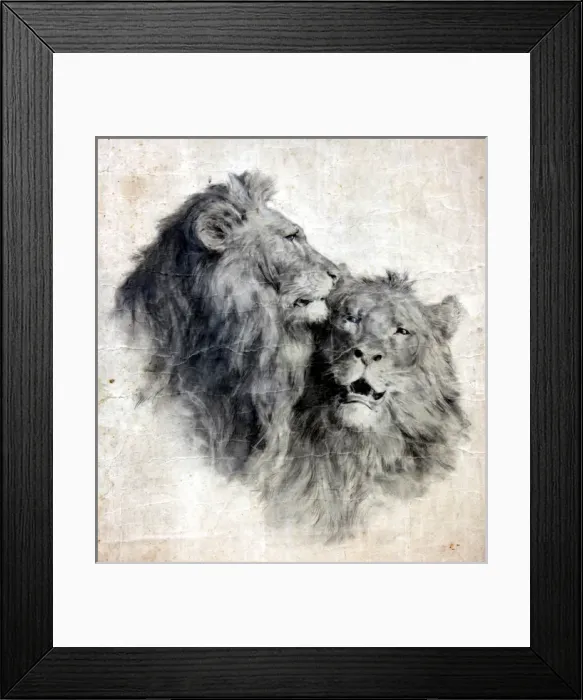 Framed Print : (insert) Framed Print : (insert)