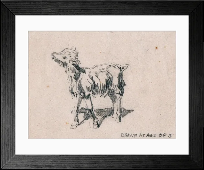 Framed Print : (insert) Framed Print : (insert)