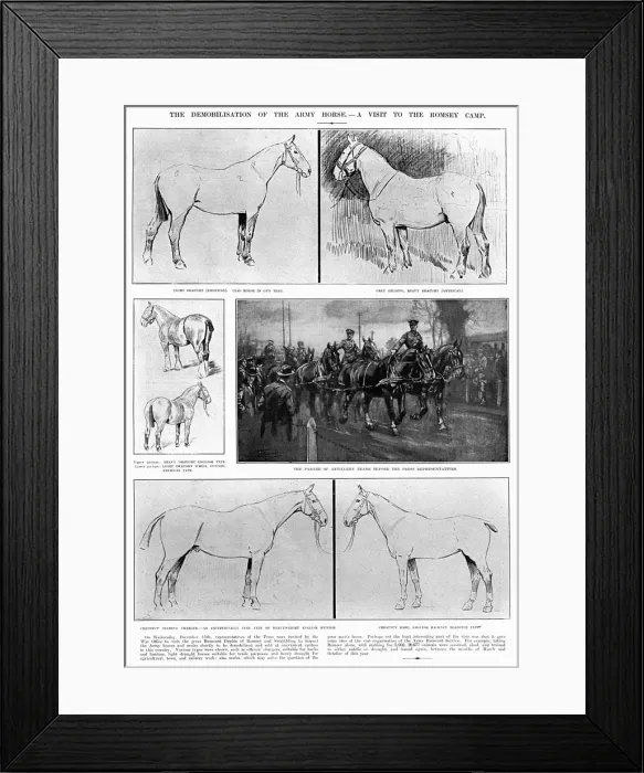 Framed Print : - Framed Print : -