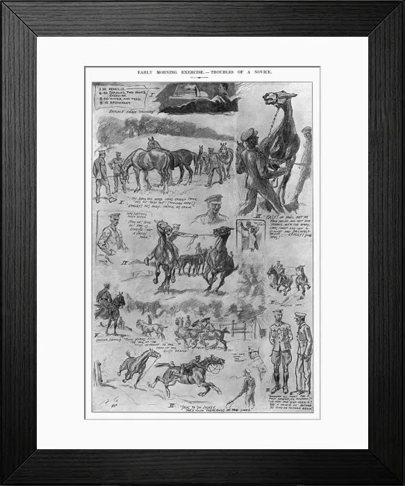 Framed Print : - Framed Print : -