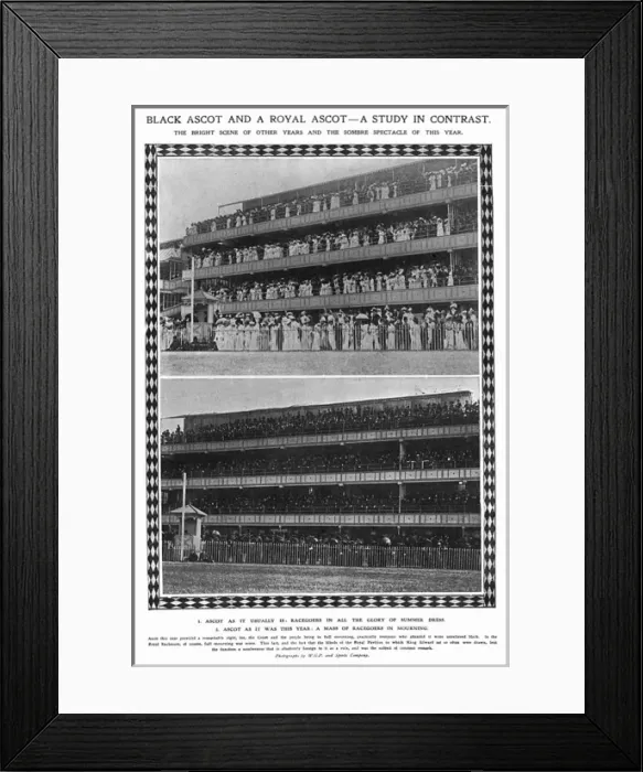 Framed Print : Comparison of Ascot Framed Print : Comparison of Ascot