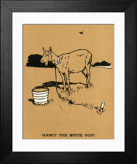 Framed Print : Illustration, Cecil Aldins Painting Books, Our Animals Framed Print : Illustration, Cecil Aldins Painting Books, Our Animals