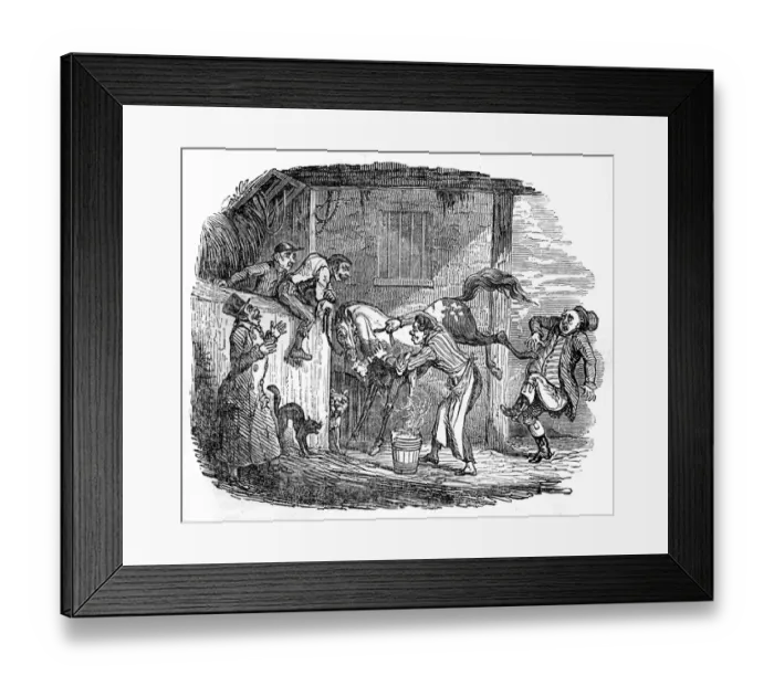 Framed Print : Illustration, Shaving a horse Framed Print : Illustration, Shaving a horse