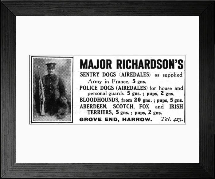 Framed Print : Major Richardsons sentry dogs advertisement Framed Print : Major Richardsons sentry dogs advertisement