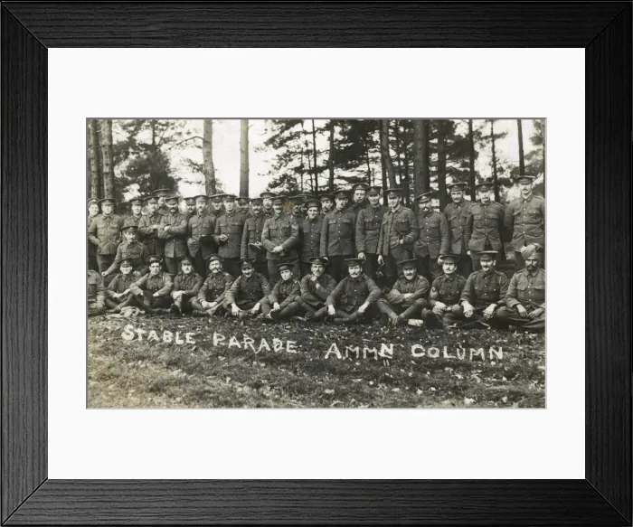 Framed Print : Stable Parade Ammunition Column, WW1 Framed Print : Stable Parade Ammunition Column, WW1