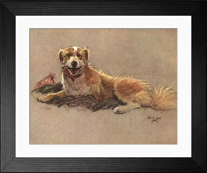 Framed Print : Dog guarding a farm workers coat Framed Print : Dog guarding a farm workers coat