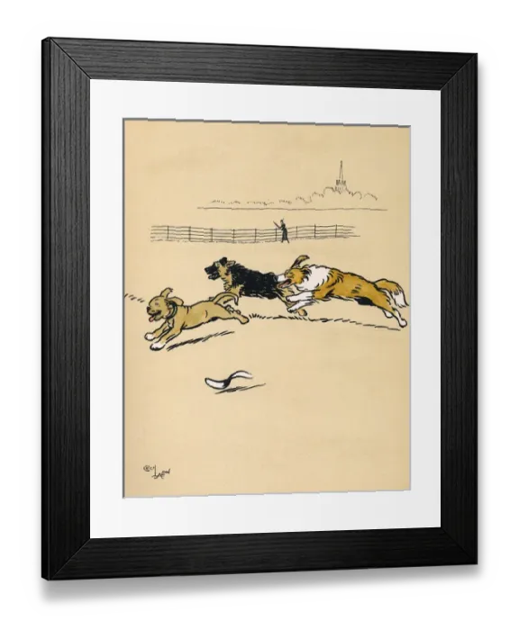 Framed Print : Mongrel puppy running with two dogs in the park Framed Print : Mongrel puppy running with two dogs in the park