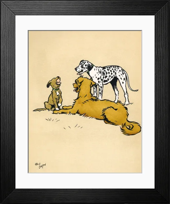 Framed Print : Mongrel puppy examined by two pedigree dogs in the park Framed Print : Mongrel puppy examined by two pedigree dogs in the park