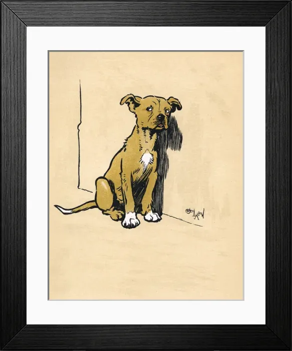 Framed Print : Mongrel puppy unhappy after a beating Framed Print : Mongrel puppy unhappy after a beating