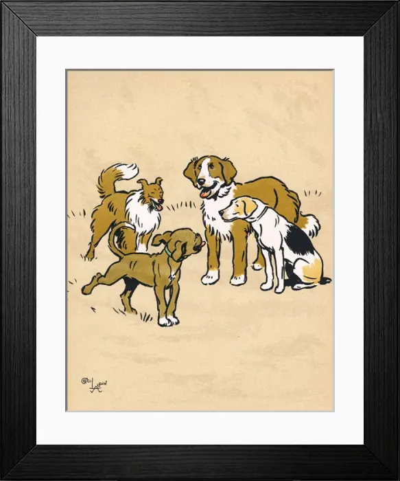 Framed Print : Mongrel puppy with three dogs in the park Framed Print : Mongrel puppy with three dogs in the park