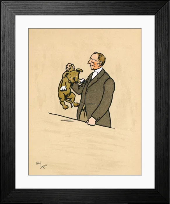 Framed Print : Mongrel puppy identified by the vet Framed Print : Mongrel puppy identified by the vet