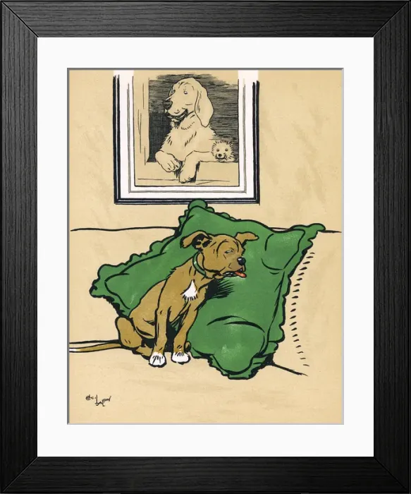 Framed Print : Mongrel puppy in a state of shock Framed Print : Mongrel puppy in a state of shock
