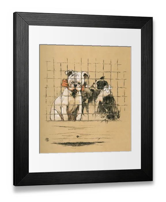 Framed Print : White bulldog puppy with his two sisters in a cage Framed Print : White bulldog puppy with his two sisters in a cage