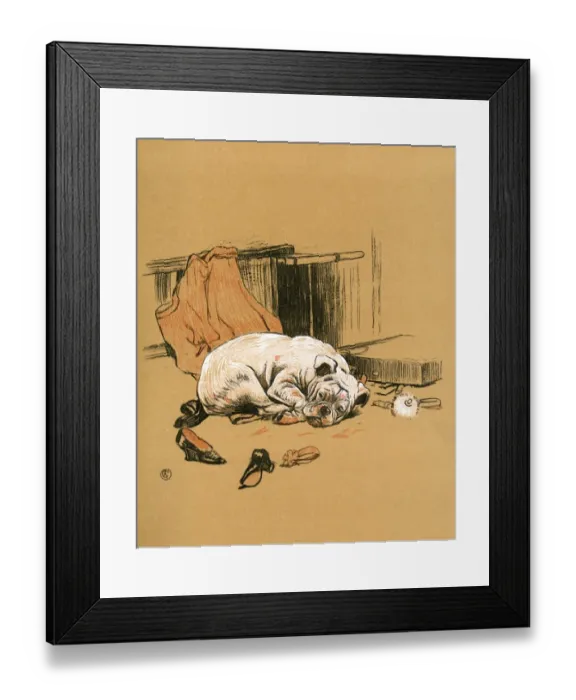 Framed Print : White bulldog puppy feeling sick Framed Print : White bulldog puppy feeling sick