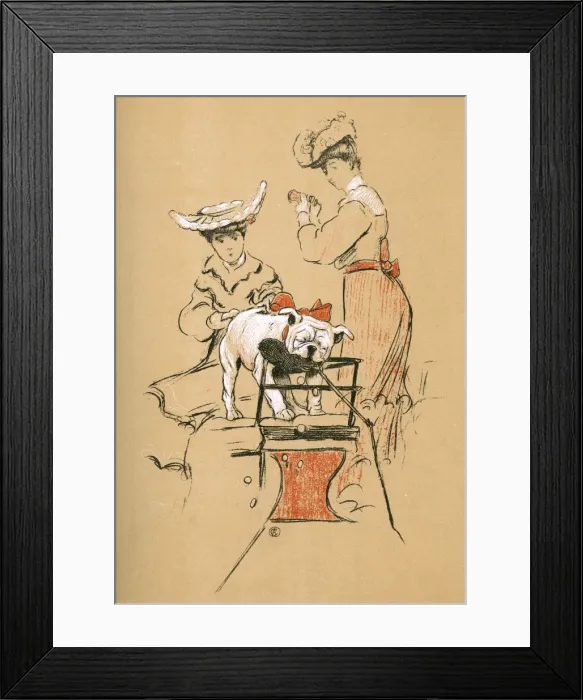 Framed Print : White bulldog puppy taken to Ascot Framed Print : White bulldog puppy taken to Ascot