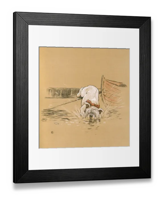 Framed Print : White bulldog puppy taken to Henley Regatta Framed Print : White bulldog puppy taken to Henley Regatta