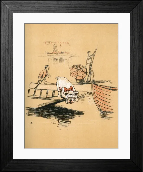 Framed Print : White bulldog puppy taken to Henley Regatta Framed Print : White bulldog puppy taken to Henley Regatta