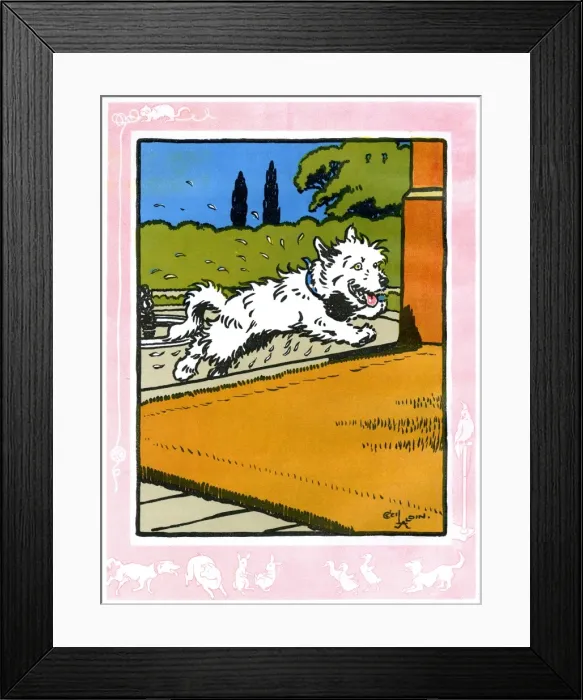 Framed Print : Towser the dog shakes water off himself Framed Print : Towser the dog shakes water off himself