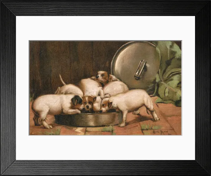 Framed Print : Puppies eating from a large bowl Framed Print : Puppies eating from a large bowl