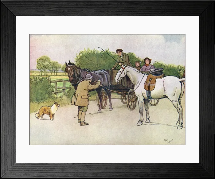 Framed Print : Illustration, Black Beauty Framed Print : Illustration, Black Beauty