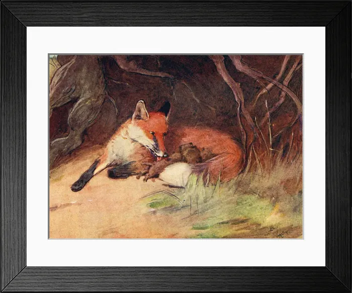 Framed Print : Illustration, female fox with cubs Framed Print : Illustration, female fox with cubs