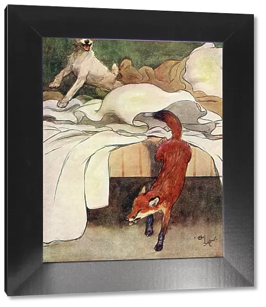 Illustration, Peter, the fox terrier, discovers a fox
