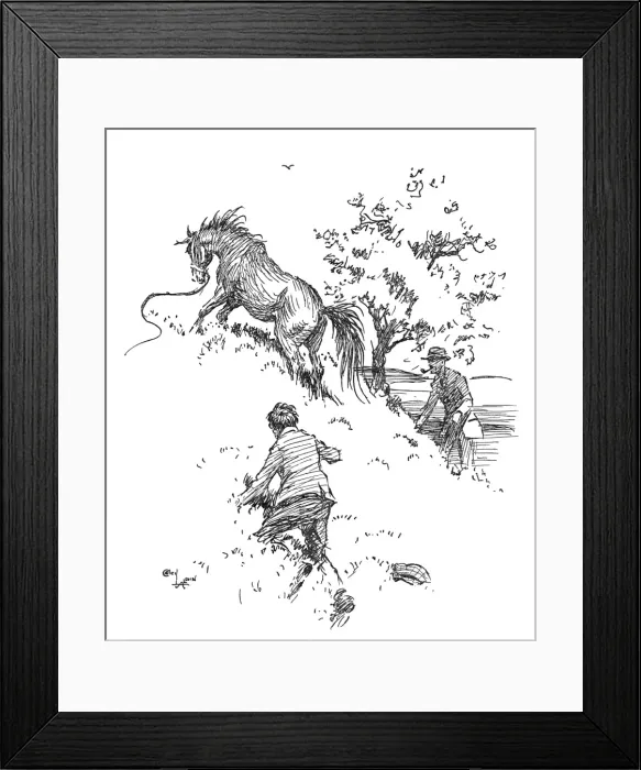 Framed Print : Illustration, escaped pony Framed Print : Illustration, escaped pony