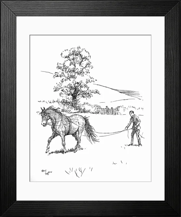 Framed Print : Illustration, driving a pony on long reins Framed Print : Illustration, driving a pony on long reins