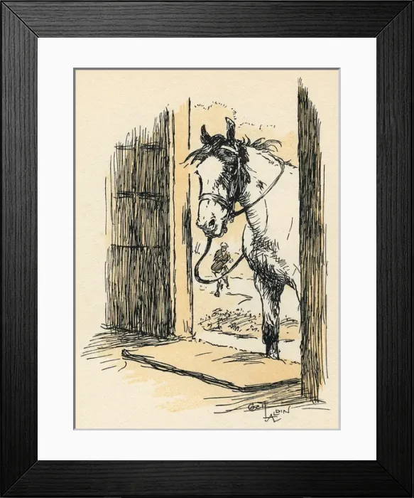 Framed Print : Frontispiece illustration, the Joker, an Exmoor pony Framed Print : Frontispiece illustration, the Joker, an Exmoor pony
