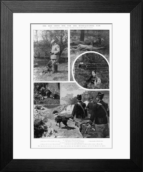 Framed Print : The Red Cross for the Russo-Japanese War Framed Print : The Red Cross for the Russo-Japanese War