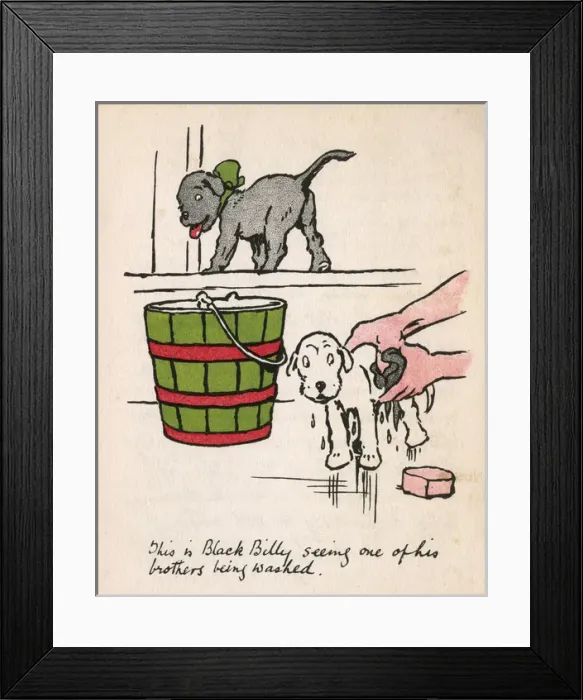 Framed Print : Illustration by Cecil Aldin, Black Billy Framed Print : Illustration by Cecil Aldin, Black Billy