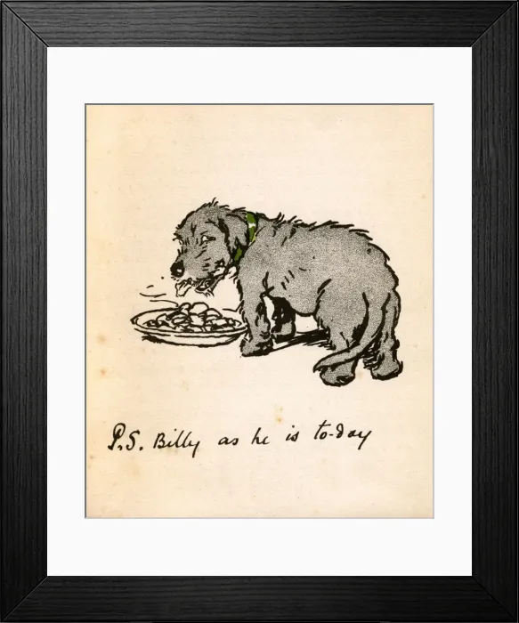 Framed Print : Illustration by Cecil Aldin, Black Billy