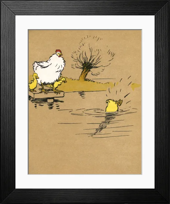 Framed Print : Illustration by Cecil Aldin, Ugly Duckling Framed Print : Illustration by Cecil Aldin, Ugly Duckling