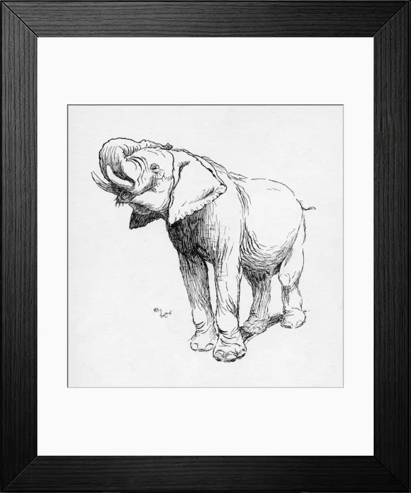 Framed Print : Illustration by Cecil Aldin, The Elephant Framed Print : Illustration by Cecil Aldin, The Elephant