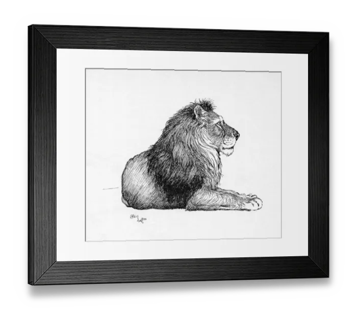 Framed Print : Illustration by Cecil Aldin, The Lion Framed Print : Illustration by Cecil Aldin, The Lion