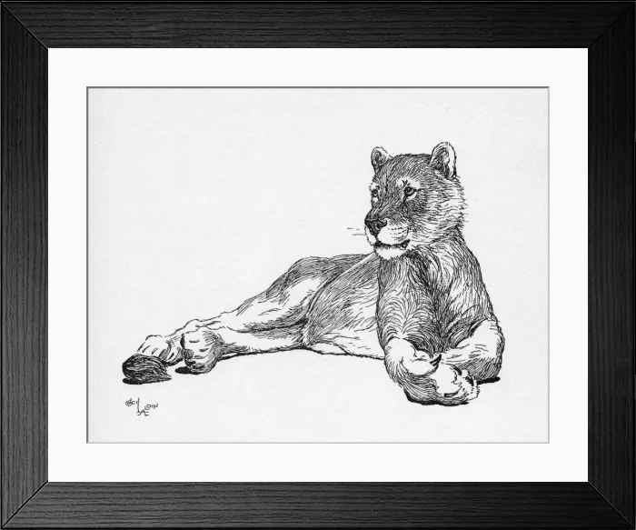 Framed Print : Illustration by Cecil Aldin, The Lioness