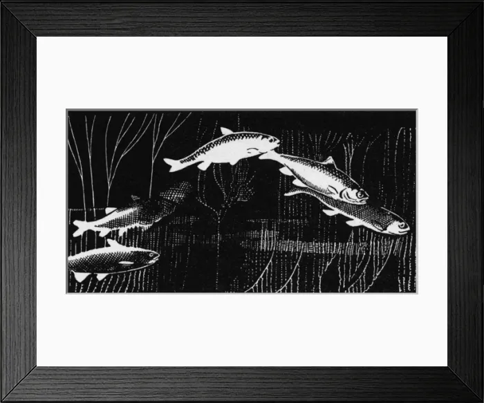 Framed Print : Illustration by Cecil Aldin, The Aquarium Framed Print : Illustration by Cecil Aldin, The Aquarium