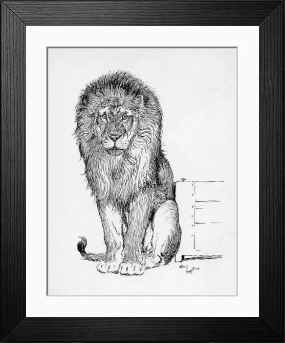Framed Print : Illustration by Cecil Aldin, The Lion Framed Print : Illustration by Cecil Aldin, The Lion