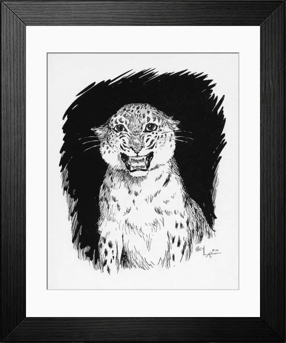 Framed Print : Illustration by Cecil Aldin, The Jaguar Framed Print : Illustration by Cecil Aldin, The Jaguar