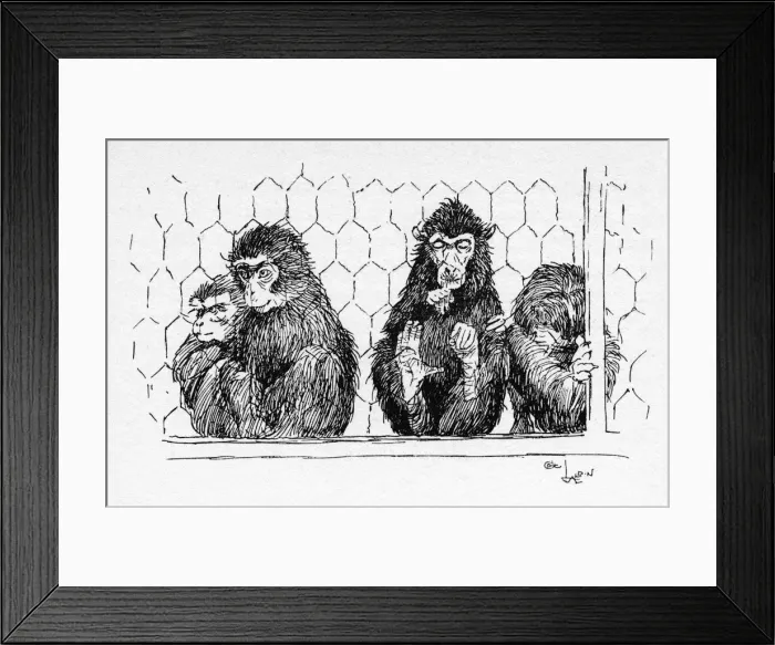 Framed Print : Illustration by Cecil Aldin, The Monkey House Framed Print : Illustration by Cecil Aldin, The Monkey House