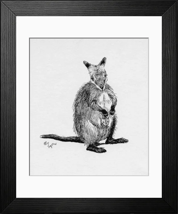 Framed Print : Illustration by Cecil Aldin, The Wallaby Framed Print : Illustration by Cecil Aldin, The Wallaby