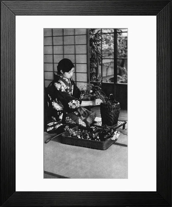 Framed Print : Japan - Girl practising Ikebana Flower Arrangement Framed Print : Japan - Girl practising Ikebana Flower Arrangement