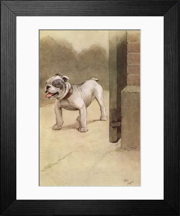 Framed Print : Illustration by Cecil Aldin, My Dog Framed Print : Illustration by Cecil Aldin, My Dog