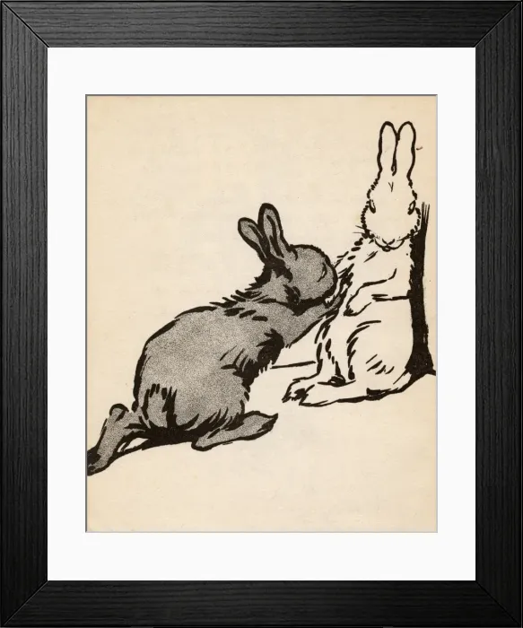 Framed Print : Illustration by Cecil Aldin, White Rabbit