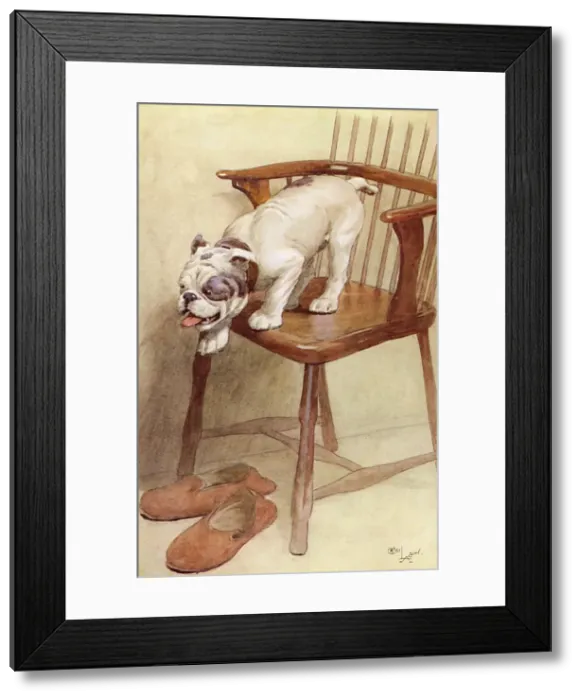 Framed Print : Illustration by Cecil Aldin, My Dog Framed Print : Illustration by Cecil Aldin, My Dog