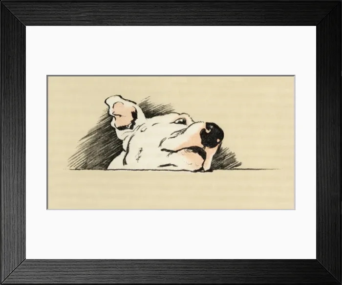Framed Print : Illustration by Cecil Aldin, Cracker the bull terrier Framed Print : Illustration by Cecil Aldin, Cracker the bull terrier